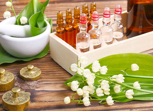 Naturopathy Certificate Course