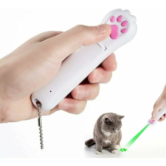 Cat Toys for Indoor Cats Catch Interactive Green LED projector Pointer, Pet Training Tool (USB Charging and 5 Patterns)