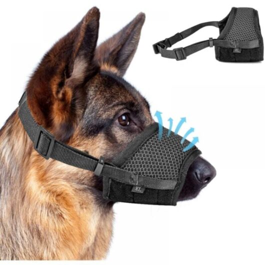 Cyslmuk - 1 Piece Adjustable Anti-Bark Muzzle with Self-Adhesive Mesh RingAdjustable Anti-Bark Muzzle for Large Medium Small Dogs(Black)