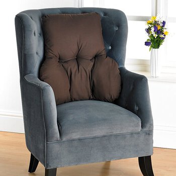 Easylife Back Support Cushion in Black
