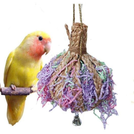 Wood shavings with paper strips, parrot chew toy
