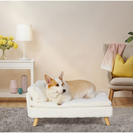 Bingo Paw - BingoPaw Waterproof Pet Sofa Dog Cat Raised Couch Bed With Cushion and Pillow, Large