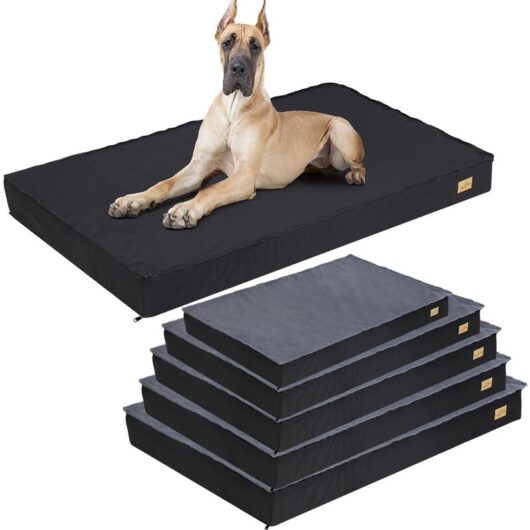 BingoPaw Jumbo Orthopedic Dog Bed Foam Pet Bed Mattress Waterproof Liner Pet Mat NonSlip, Extra Extra Large 120x75x10cm