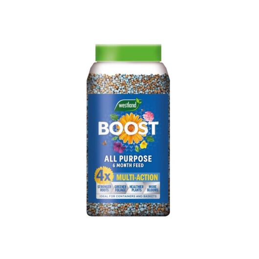 Westland 20100535 Boost All Purpose 6 Month Plant Feed 750g WLD20100535