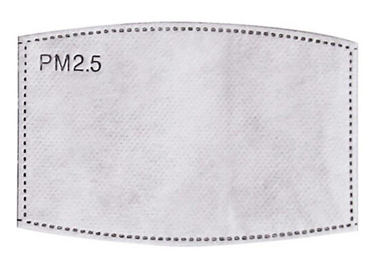 10, 30 or 50-Pack of Replacement PM 2.5 Face Cover Filters