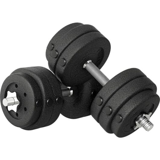 HOMCOM 30KG Adjustable Dumbbells Weight Set Hand Weight for Body Fitness