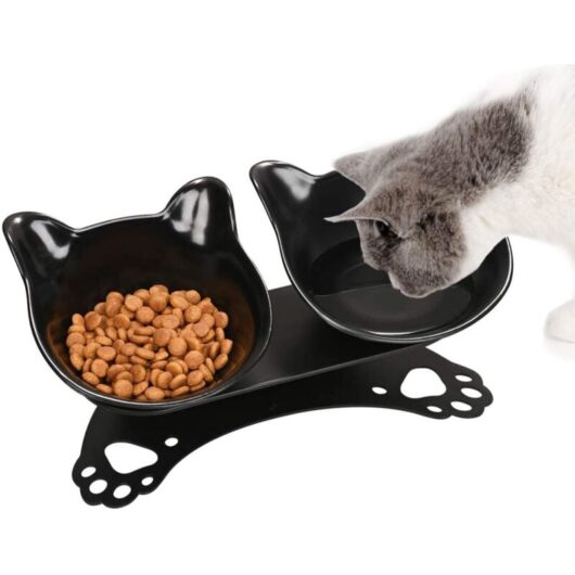 Cat Bowls, Cat Bowls, 15° Tilted Double Raised Cat Bowl, Anti-Slip Protective Neck Pet Food Bowls (Black)