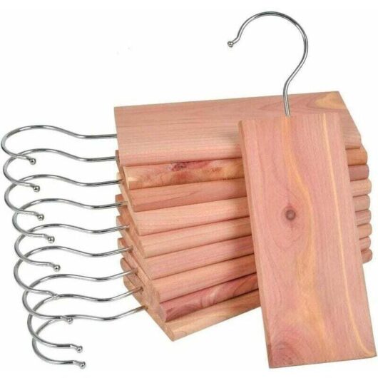10 hanging cedar wood blocks, natural woodworm protection for cabinets, drawers and shelves, chemical-free