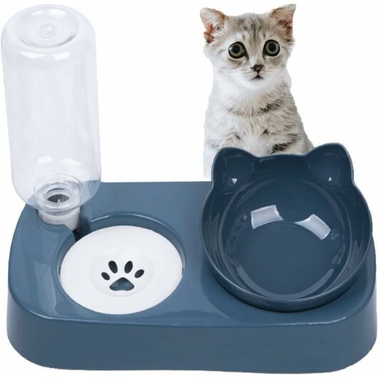 2-in-1 elevated cat bed, automatic cat bed, double bed for cats and small dogs, 500ml water bottle with automatic refill