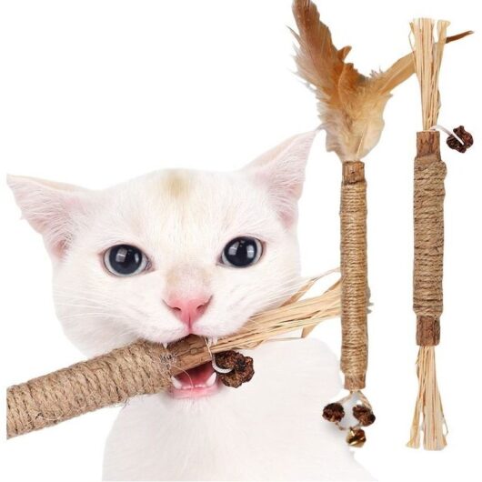 2PCS Wooden Cat Toys