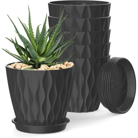 6-Pack Black Flower Pots 10 cm - Pots for Indoor Plants with Drainage Holes and Saucers, for Orchids, Violets, Succulents, and Herbs