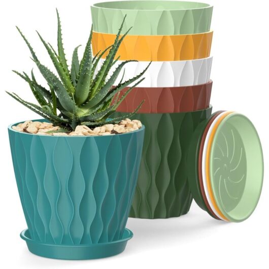 6-Pack Colorful Flower Pots 10 cm - Pots for Indoor Plants with Drainage Holes and Saucers, for Orchids, Violets, Succulents, and Herbs
