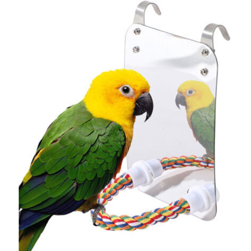 Bird Mirror Toy with Rope, Parrot Hanging Toy - Large Mirror - Chew Toy for Parrots, Parakeets - Pet Supplies (Size: Acrylic)
