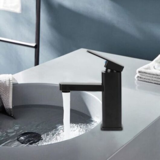 Black Bathroom Faucet, Alloy Basin Mixer Tap with Hot and Cold Water Available, Sink Faucet with Two Hoses