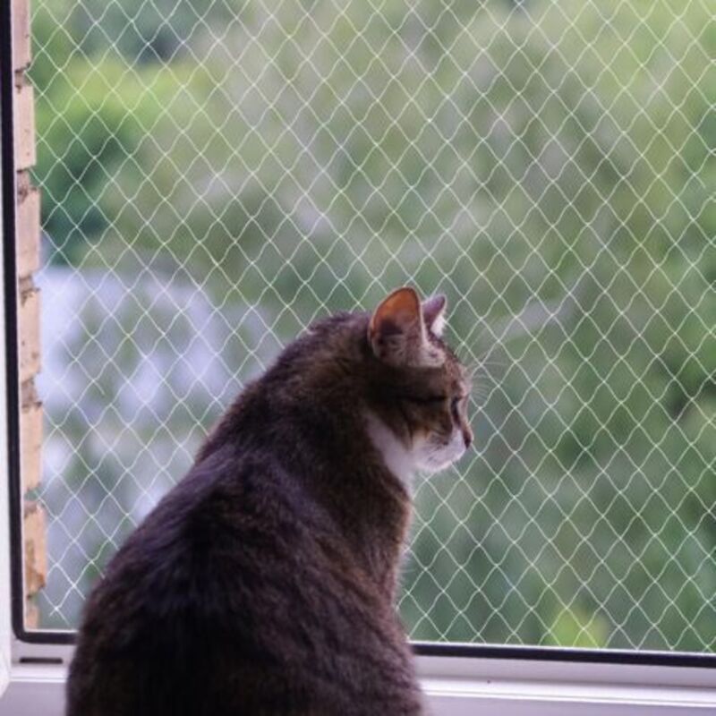 Cat net, nylon net, drill-free, transparent, cut and bite resistant, protects patios, windows and doors (3 x 4 m)