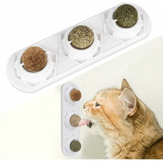 Catnip toys, edible catnip balls, safe and healthy catnip, family of cats chasing toys, cleaning teeth, protecting stomach