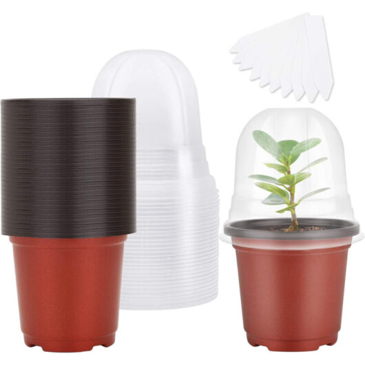 Flower Pots, 10 Pieces, Brown Plant Pots with Lids, 9 cm Diameter, Plastic Seedling Pots for Succulents and Seedlings