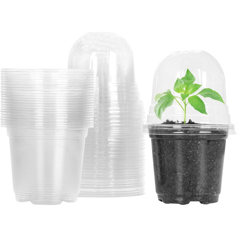 Flower Pots, 10 Pieces, Transparent Plant Pots with Lids, 9 cm Diameter, Plastic Seedling Pots for Succulents and Seedlings