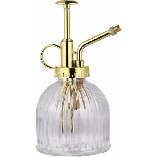 Hoopzi - 1 glass sprayer - Vintage style - For succulents - For interior - For cleaning succulents - Transparent and gold.