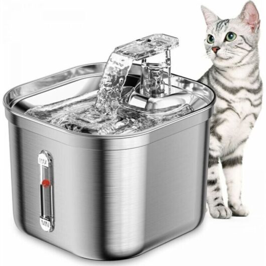 [NEVER USED] Cat Water Fountain, 2.2L Stainless Steel Fountain, Ultra-Quiet Water Pump, Dishwasher Safe Dog Water Dispenser