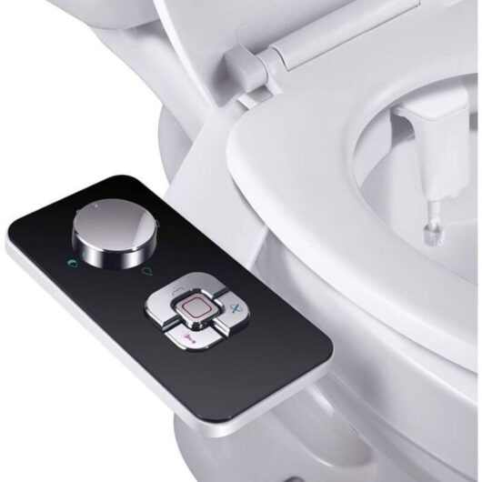 1 non-electric bidet sprayer, double self-cleaning retractable nozzles, brushed black finish, deck mounted, bathroom