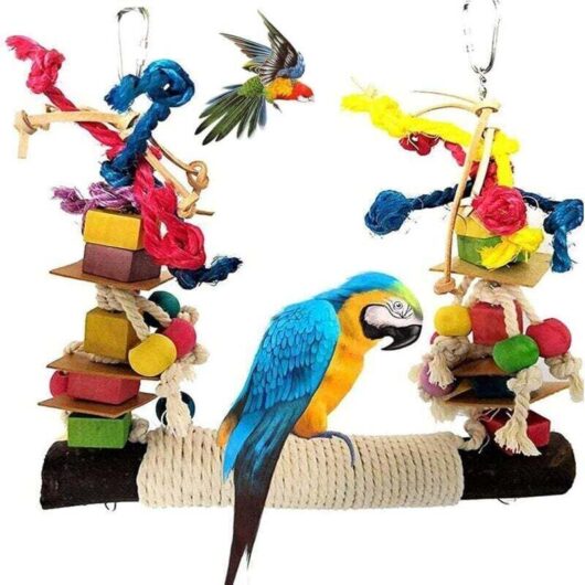 1 parrot toy, swing and chew toy made of natural wood, birdcage decoration for macaws and parakeets