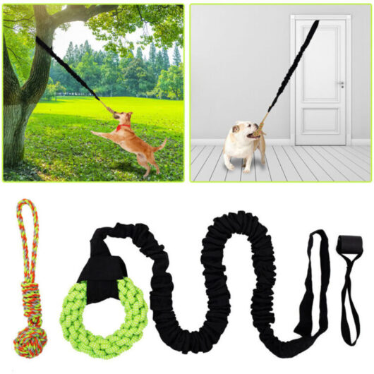 160cm Dog Tug Toy