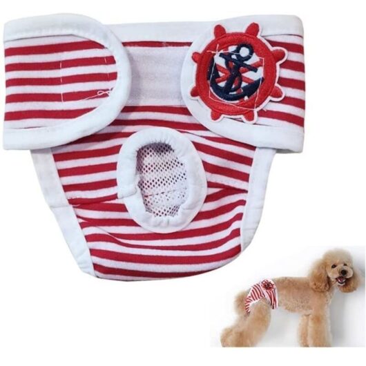 Washable dog diapers