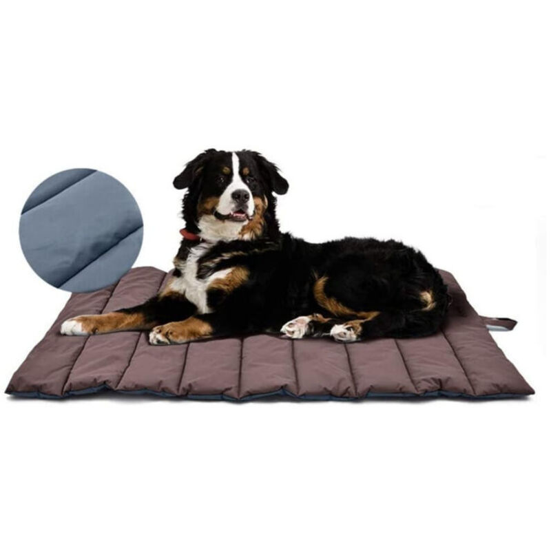 Waterproof, double-sided, large dog mat