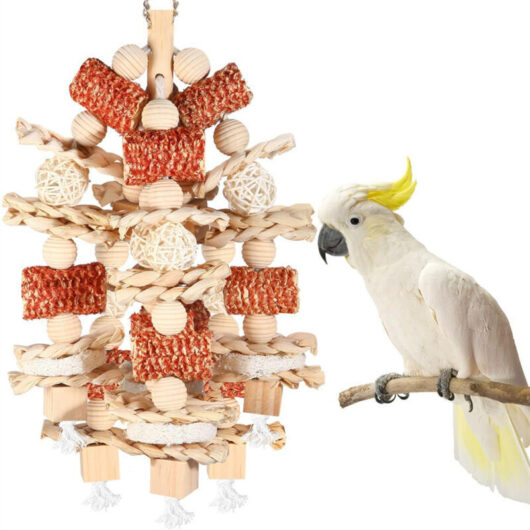Wooden bird toy