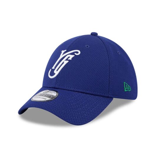 Yard Goats MiLB Batting Practice Dark Blue 39THIRTY Stretch Fit Cap New Era Cap adult unisex